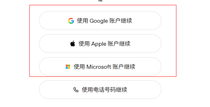 使用 Google / Apple / Microsoft 账户继续